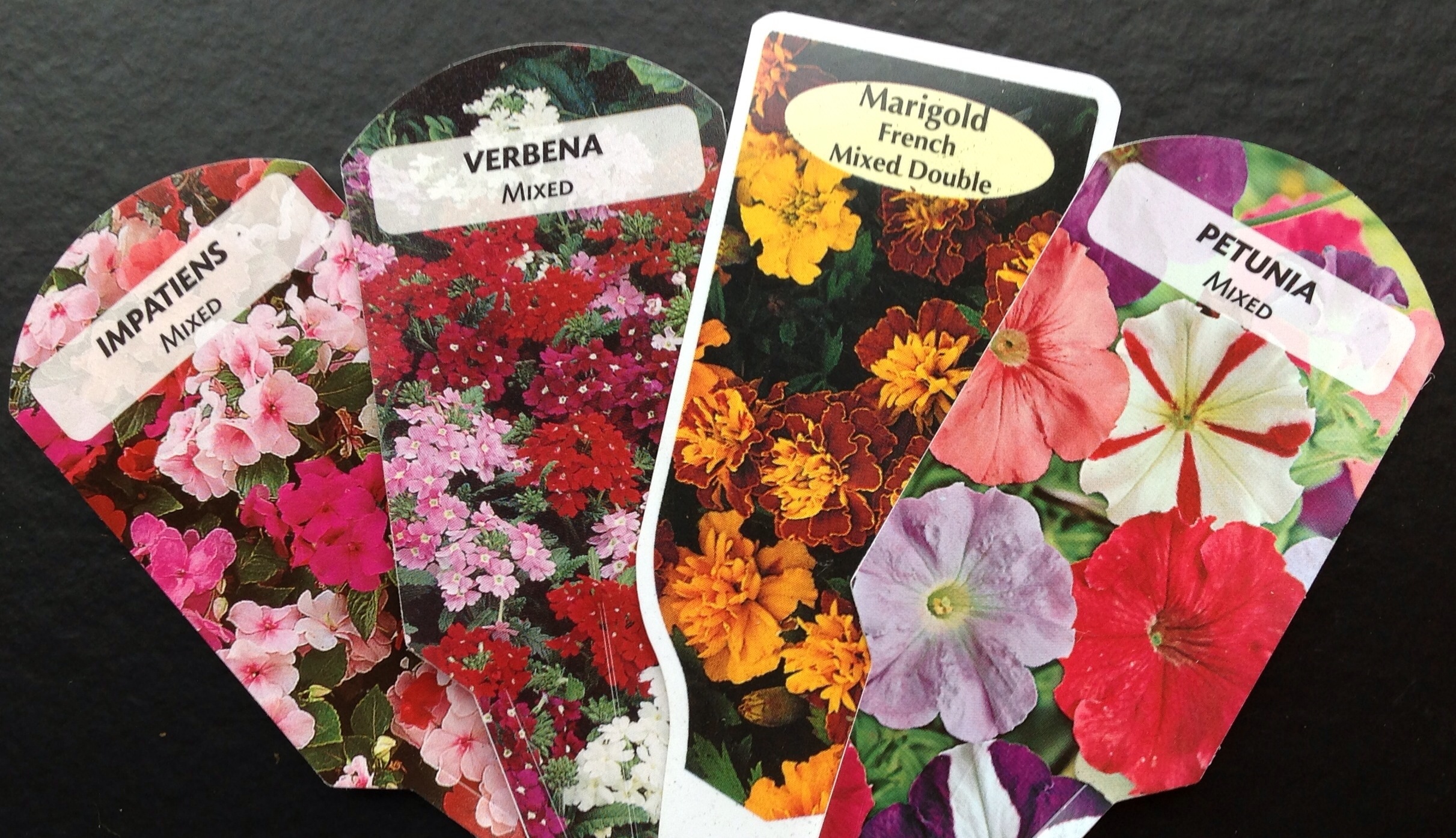 Bedding Plants Byram Nurseries