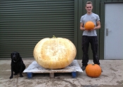Giant Pumpkin 2013